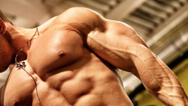 Anapolan bodybuilding: de nieuwe trend voor spieropbouw en kracht in Nederland